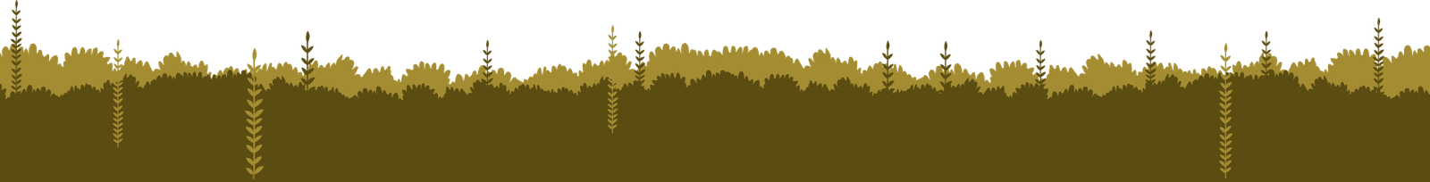 image transition section